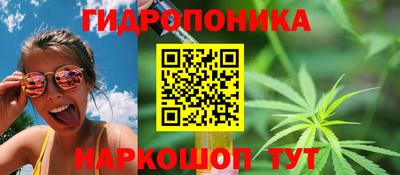 PSILOCYBIN Краснодар