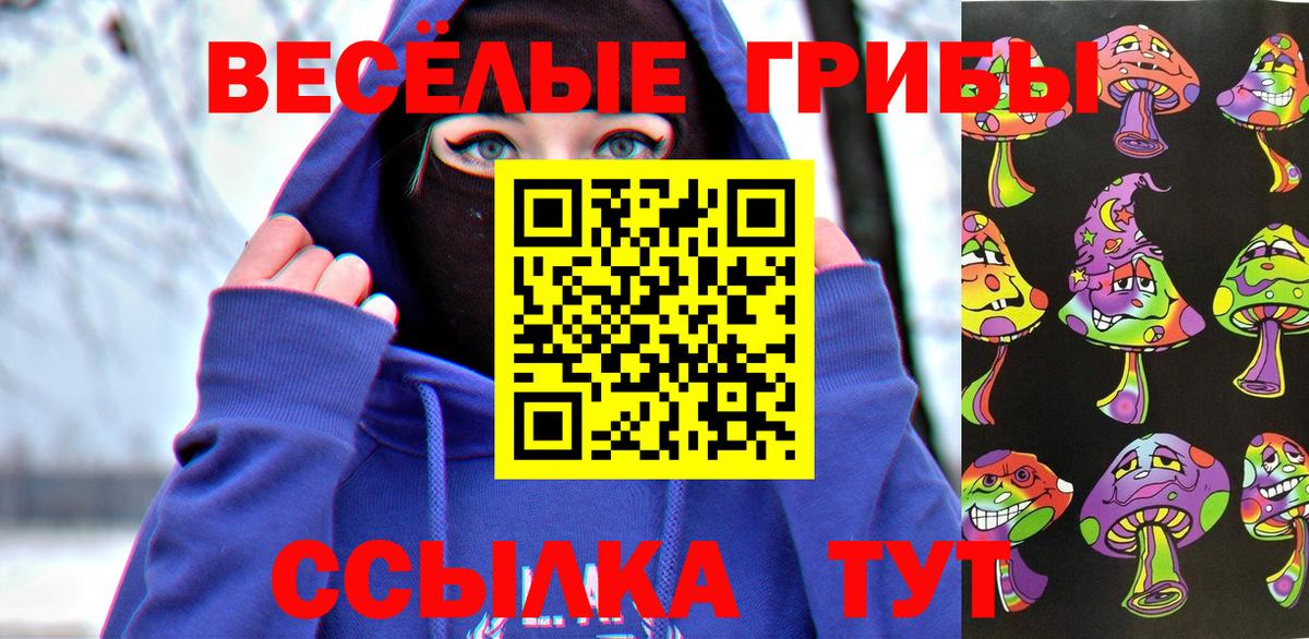 Каменка  Галлюциногенные грибы MAGIC MUSHROOMS  Вход с VPN 