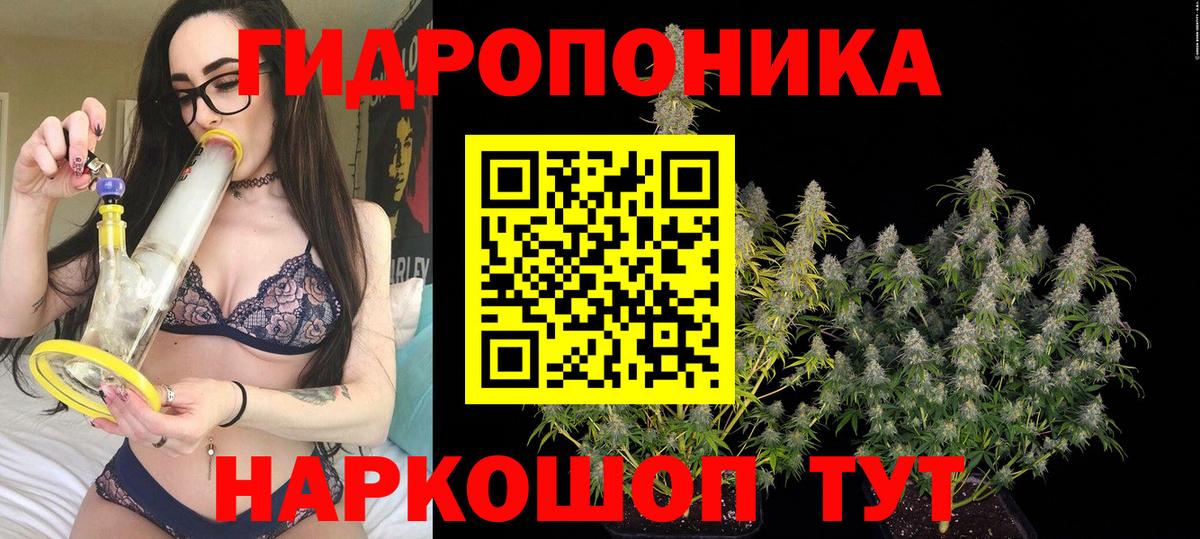Бошки марихуана марихуана Каменка